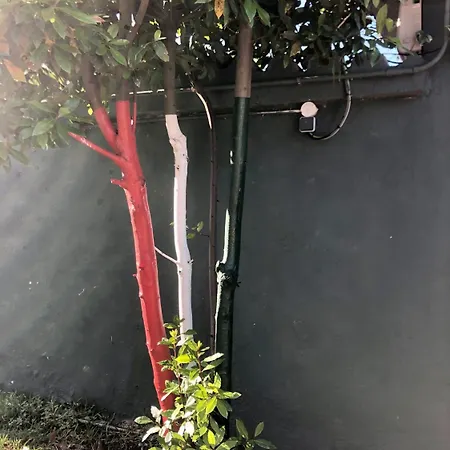 起锚酒店 酒店 拉雷多