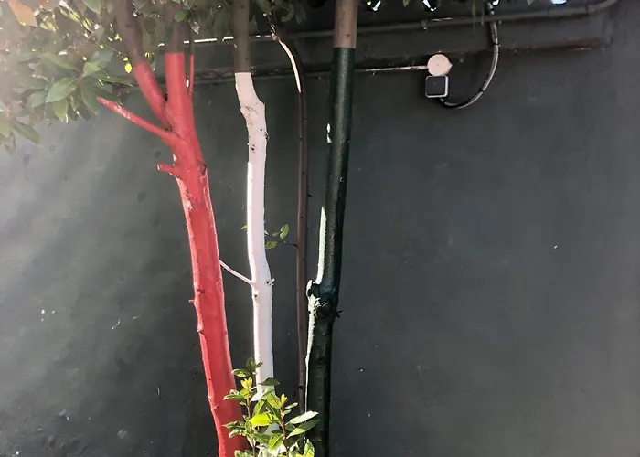 El Ancla Hotell Laredo